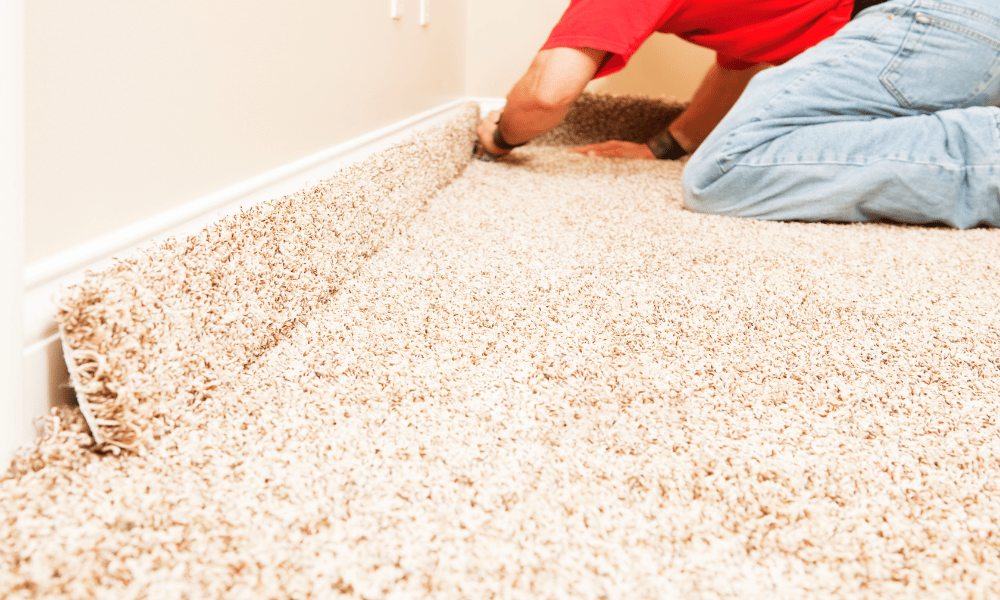 Why You Should Hire Professional Carpet Installers