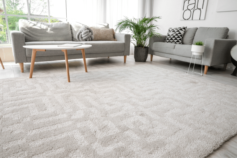 Innovations in Carpet Technology