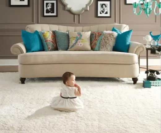 Soft Carpet | Distinctive Flooring